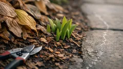 Cómo cuidar las hostas en otoño para que rebrote con fuerza en primavera